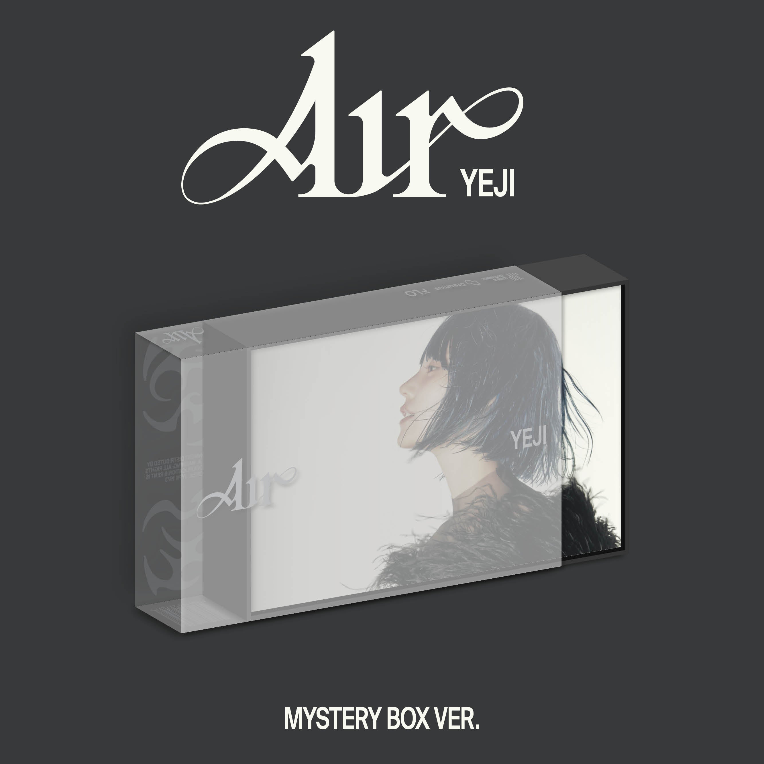 MYSTERY BOX ver. 1